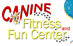 canine-fitness-fun