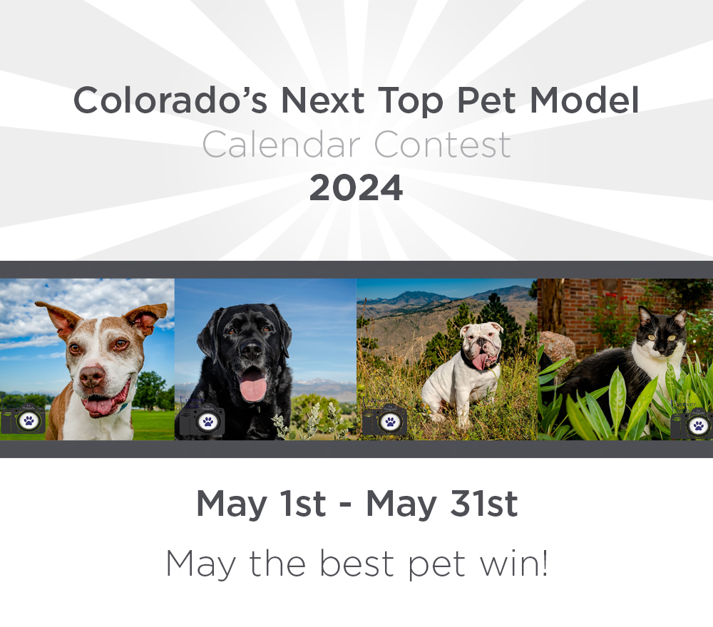 2021-clark-s-pet-calendar-contest-enter-your-pets-photo-now
